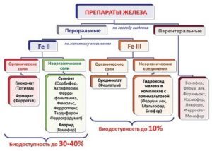 Препараты железа при анемии: список лучших