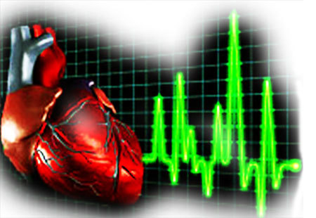 Холестерин плохой и хороший - опасность и норма у женщин