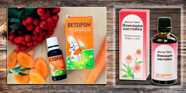 Эхинацея: инструкция по применению для таблеток и экстрактов, в чем разница между капсулами и каплями