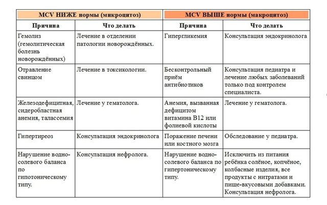 Общий анализ крови с формулой - расшифровка: норма и отклонение показателей