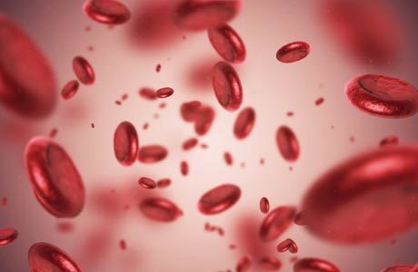 Последствия низкого гемоглобина в крови у женщин и мужчин