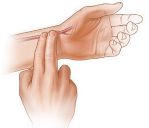 Какой должен быть пульс у здорового человека в разных условиях