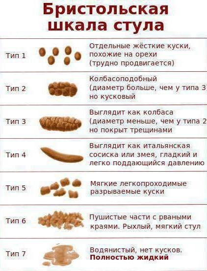Виды кала. Бристольская шкала формы кала