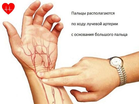 Какое должно быть сердцебиение у человека