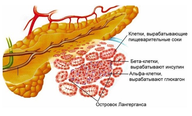От чего появляется сахарный диабет ?