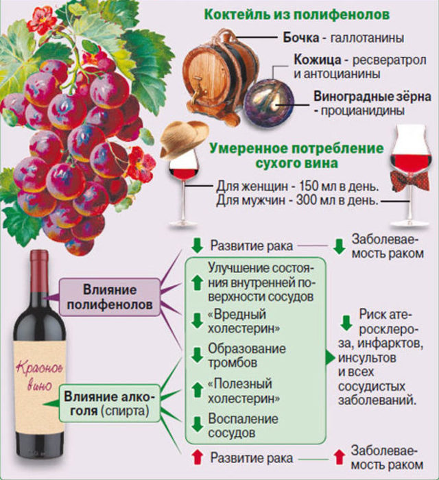 Можно ли пить алкоголь при атеросклерозе? - Диабет - 100 бед