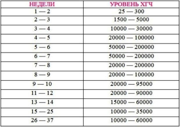 Анализ на ХГЧ – ранняя диагностика беременности