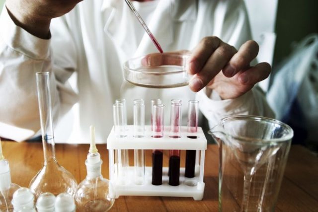 Повышены лейкоциты в крови: что это значит, причины