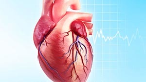 Низкое диастолическое давление – причины и меры лечения