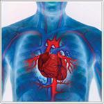 Шумы в сердце - виды, типы, причины, диагностика шумов в сердце у детей и взрослых