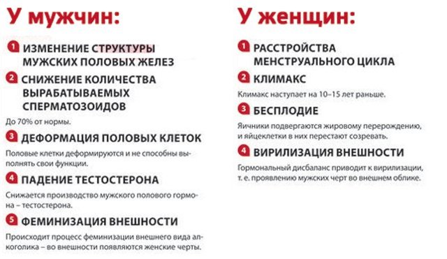 Сердце алкоголика и влияние алкоголя на него