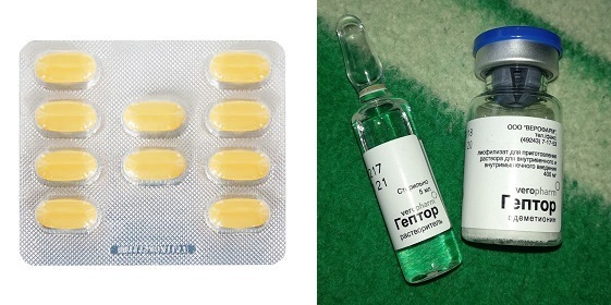 Гептор - официальная инструкция по применению, аналоги