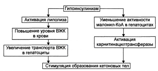 Первая неотложная помощь при гипогликемической коме у детей и взрослых алгоритм