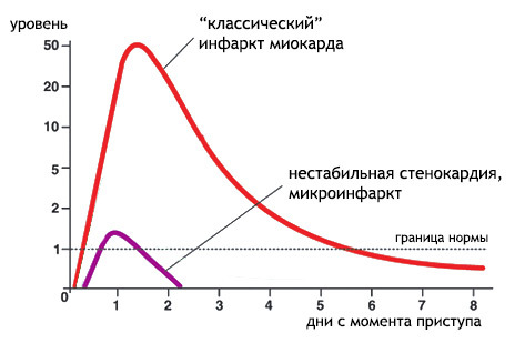 Тропонин в крови: что это, виды (T, I, C), нормы, повышение в анализах, уровень при инфаркте. 3 правила подготовки к проведению тропонинового теста