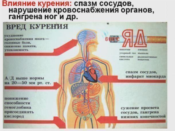 Как курение влияет на сердце человека: тахикардия, пульс, мерцательная аритмия