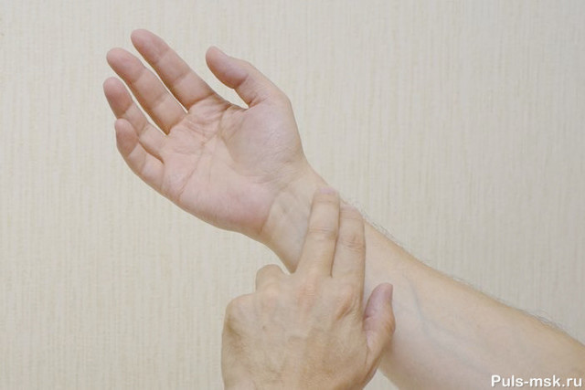 Какой должен быть пульс у здорового человека в разных условиях