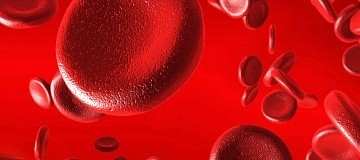 Современные методики лечения лейкоза и причины заболевания: лечится или нет, можно ли вылечить, у взрослых и детей