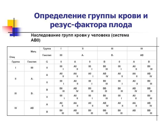 Характеристика людей с 1 положительной группой крови
