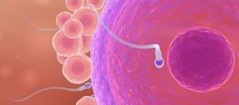 Киста яичника у женщин – причины, признаки и симптомы кисты левого и правого яичника у женщин. Последствия и разрыв кисты