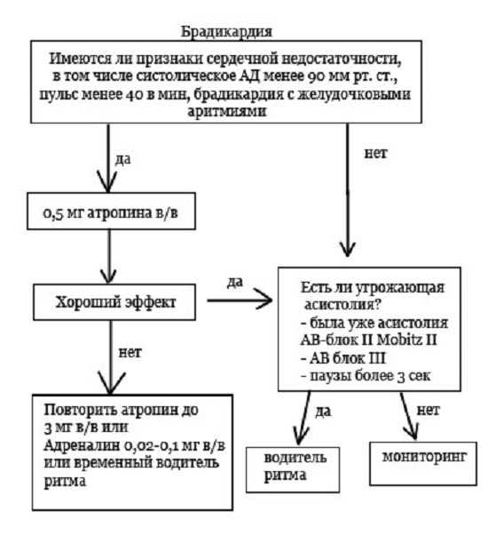 Брадикардия - причины, признаки, симптомы и лечение