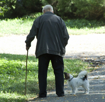 Варикозное расширение вен чем опасно на сайте варикоз