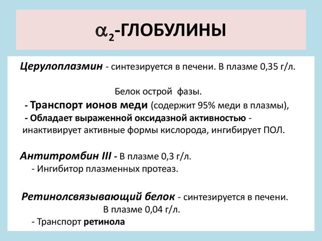 Белки плазмы крови – их функции в организме, фракции и их характеристика