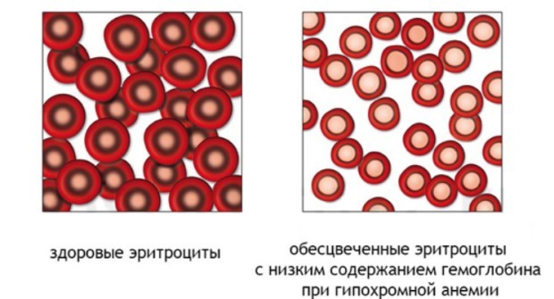 Анизохромия что это такое