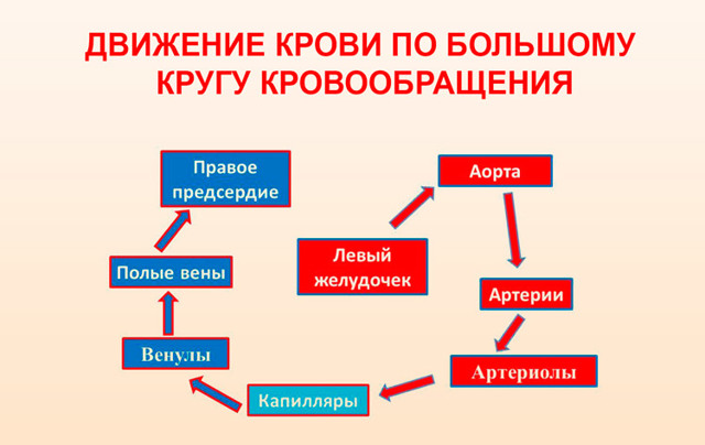Как избавиться от гипертонии навсегда