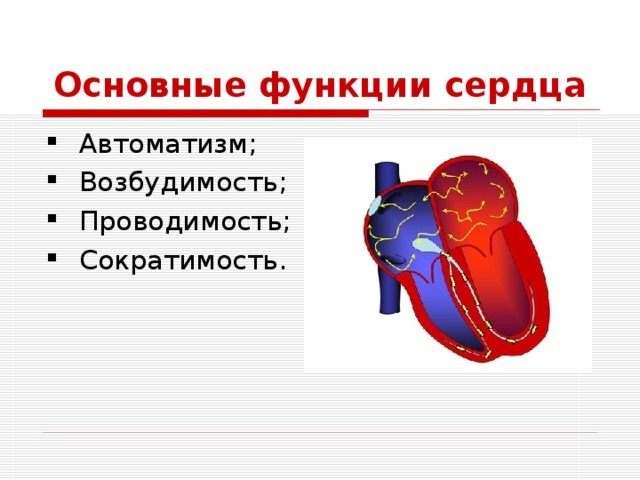Расшифровка ЭКГ в норме и при патологии. Уроки по ЭКГ с видео