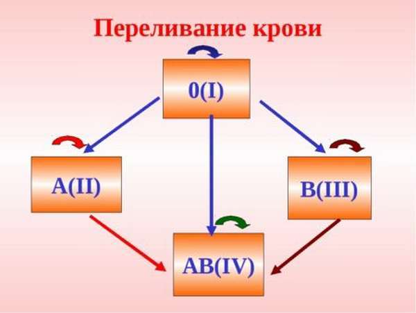 Группа крови 3 положительная: характеристика