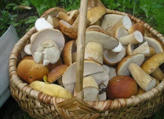 Разжижение крови народными средствами