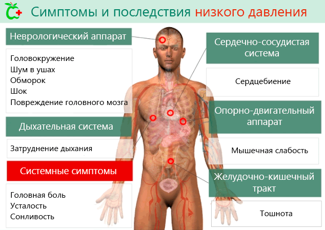 Низкое диастолическое давление – причины и меры лечения