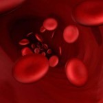 Что делать, если густая кровь при беременности? - Здоровая кровь