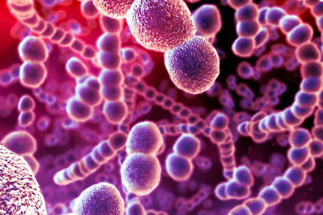 Сульфаргин - инструкция и показания к применению