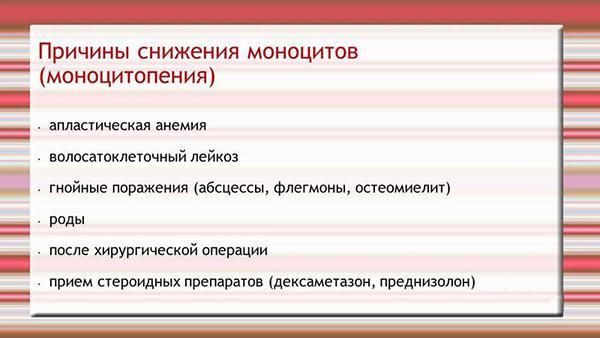 Моноциты - что это такое и какую функцию в крови они выполняют, показатели нормы моноцитов и методы лечения при их отклонениях