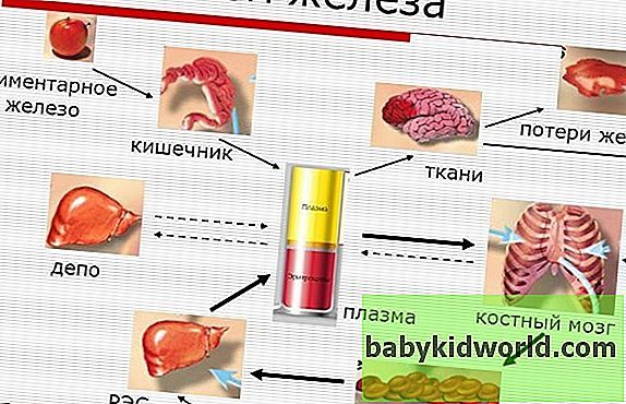 Лучшие препараты железа при низком гемоглобине у взрослых и детей