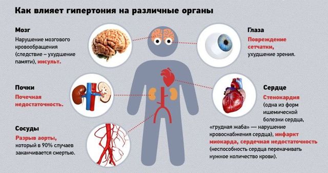 При расширении сосудов давление повышается или понижается? - БолезнейНет
