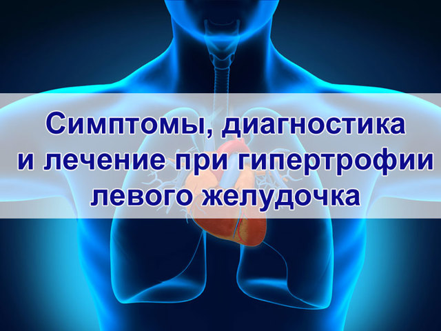 Гипертрофия левого желудочка сердца: признаки на ЭКГ и лечение