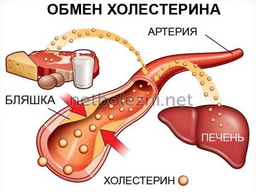 Лекарство для снижения холестерина без побочных эффектов - Про холестерин