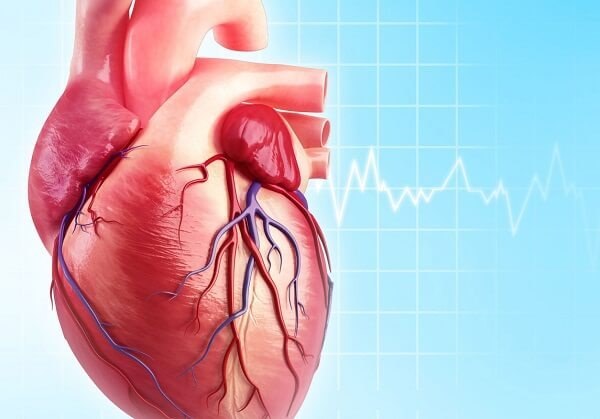 Боль в сердце при кашле - Всё о сердце