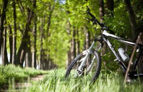 Пульс нитевидный это - Все про гипертонию