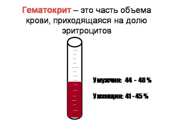 Гематокрит повышен — причины, лечение и чем опасно такое состояние?