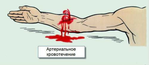 Венозная кровь человека в отличие от артериальной. Отличия венозной и артериальной крови