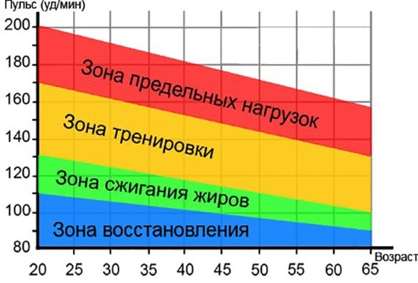 Характеристика пульса: основные показатели нормы