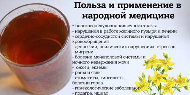 От чего помогает зверобой?