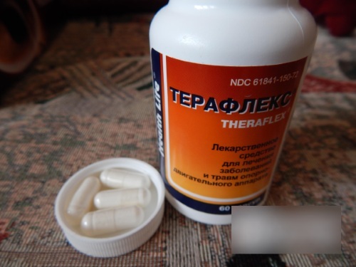 Терафлекс – инструкция по применению: описание и действие средства, аналоги и цена, отзывы о мази и капсулах