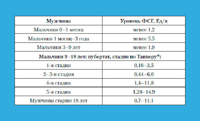Фсг у мужчин повышен или понижен уровень , какая норма fsg