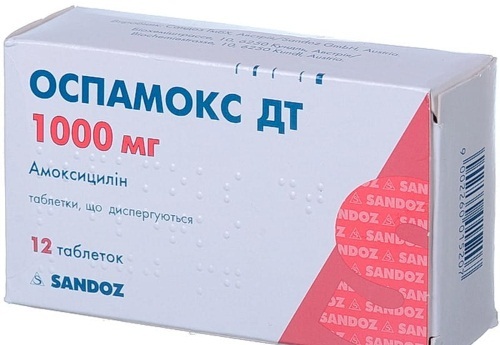 Сегментоядерные нейтрофилы повышен: у ребенка и взрослого, причины