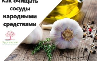 Чистка сосудов народными средствами