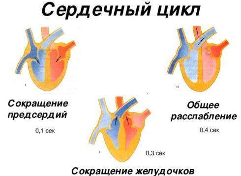 Верхнее давление высокое нижнее в норме